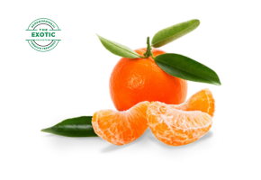 Mini Seedless Orange - मिनी बिना बीज संतरा - મીની બીજ વગર નારંગી